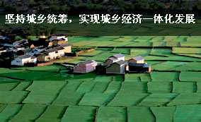 堅持城鄉(xiāng)統(tǒng)籌，實現(xiàn)城鄉(xiāng)經(jīng)濟一體化發(fā)展